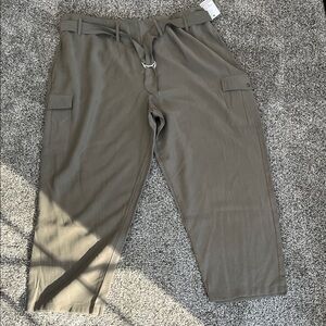 Stylish Olive Cropped Pants